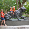 Tigre de estatuas de alta calidad